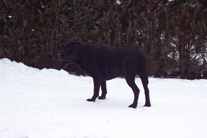 02-022-003 025.jpg